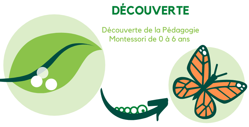 Découverte de la pédagogie Montessori de 0 à 6 ans